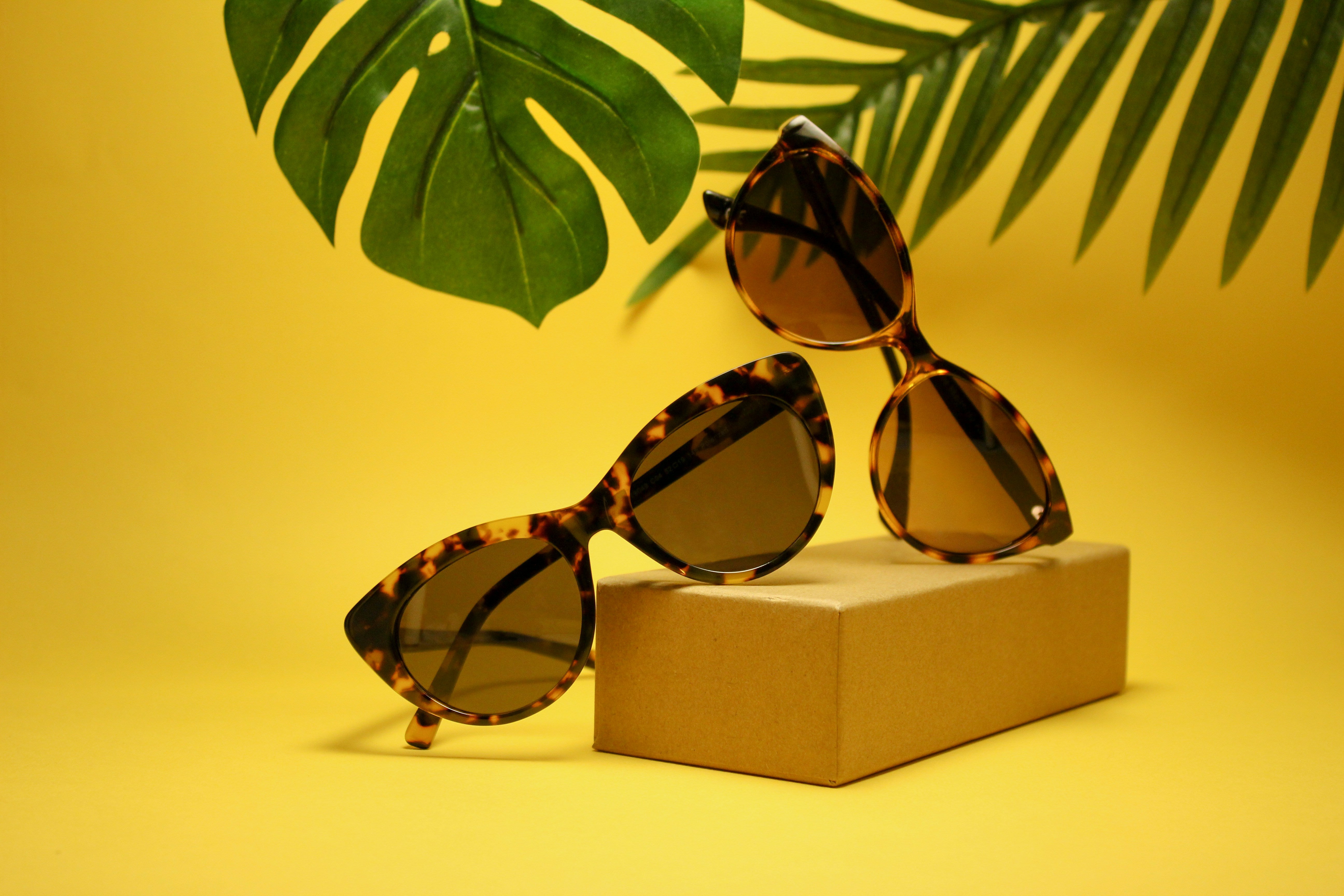 Tortoiseshell sunglasses on a beige block with green leaves on a yellow background